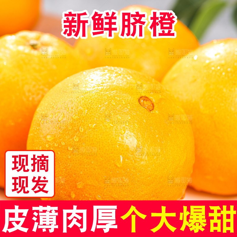 脐橙主图