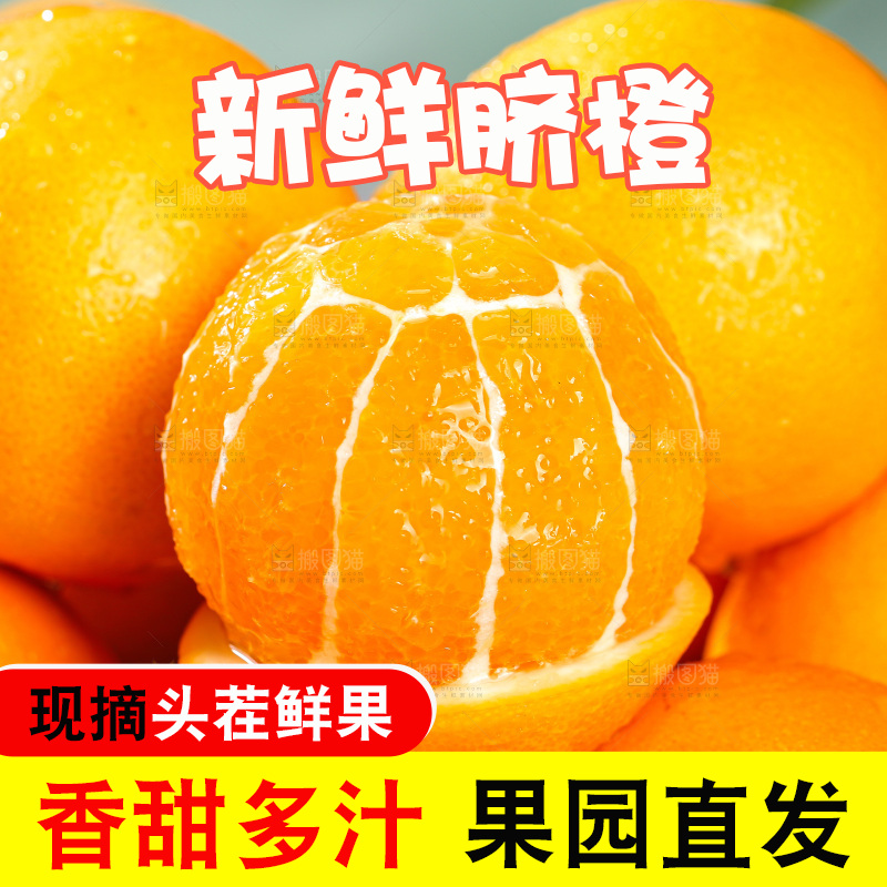 浅底上的脐橙