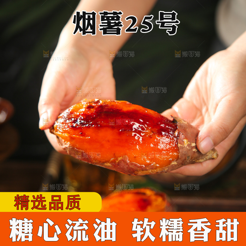 深底上的烤烟薯