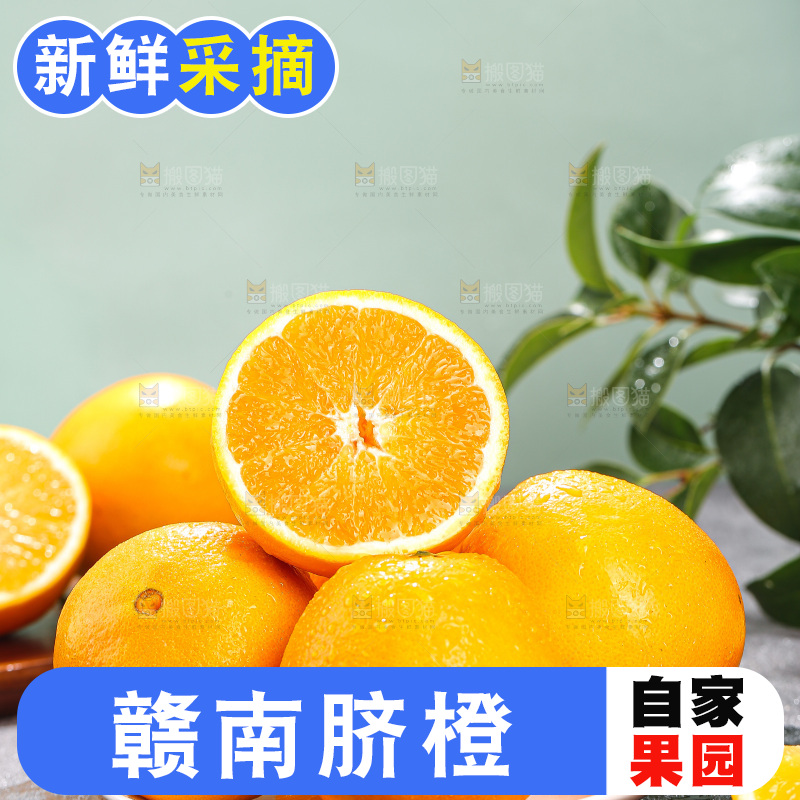 浅底上的脐橙