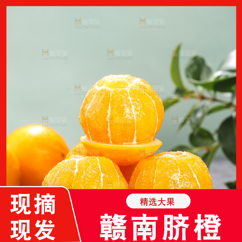脐橙主图