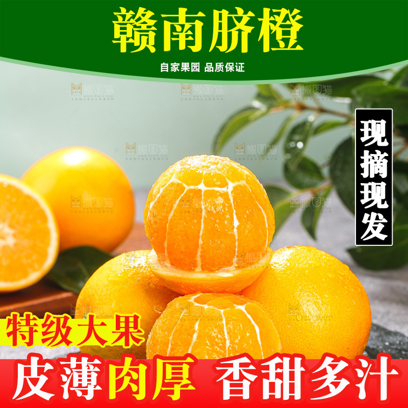 浅底上的脐橙