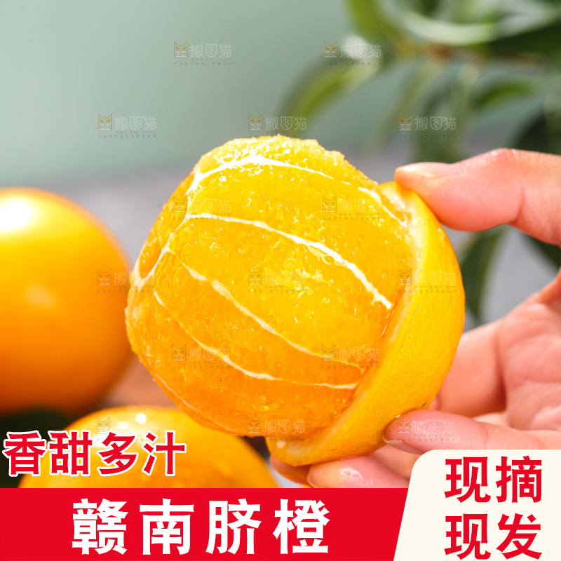 浅底上的脐橙