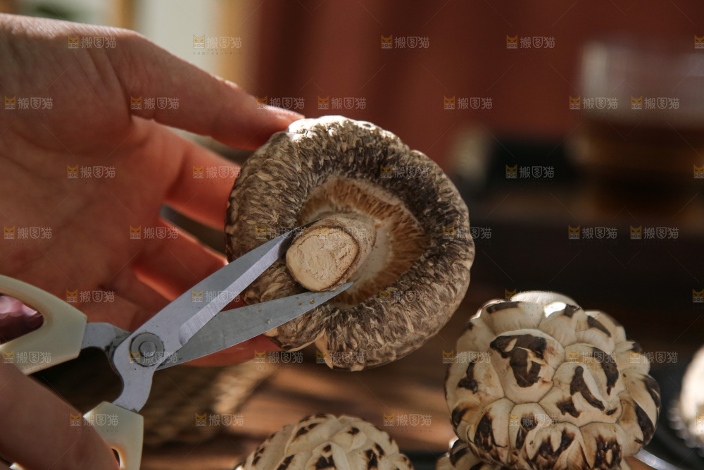 深底上的花菇