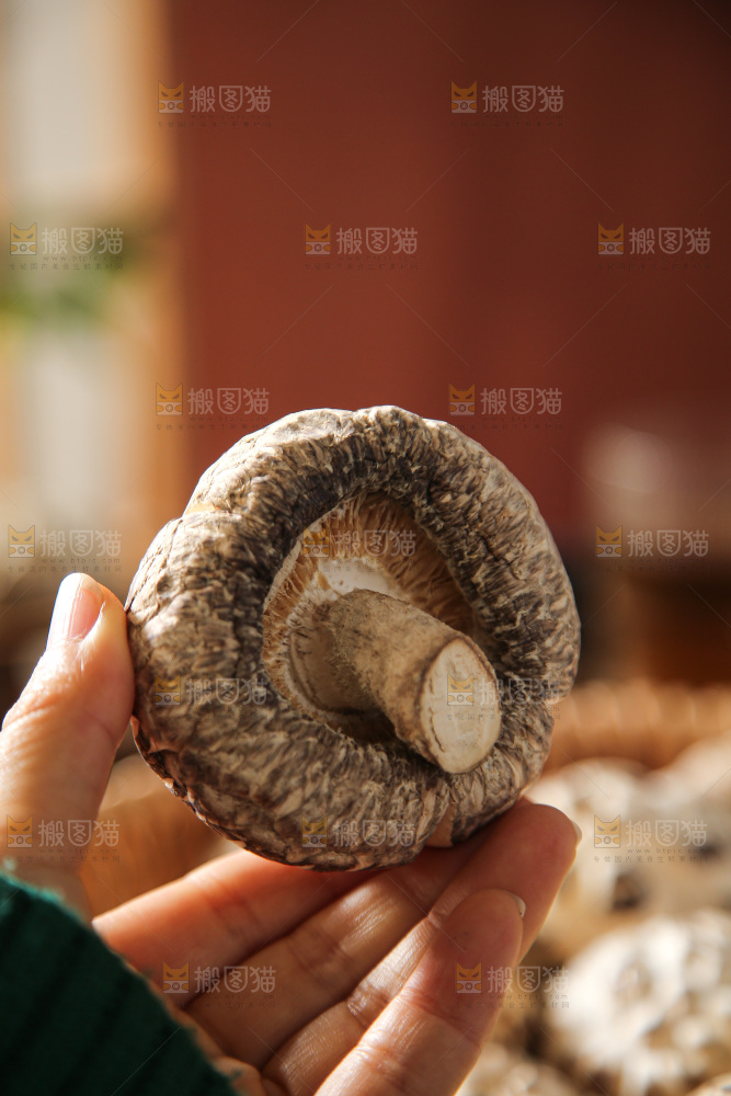 深底上的花菇