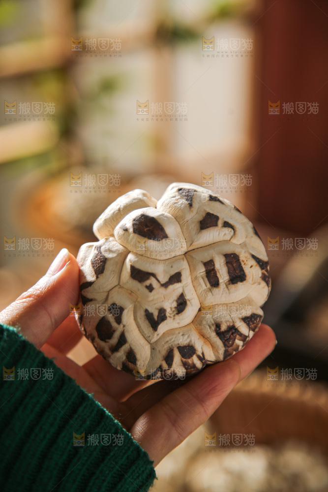 深底上的花菇