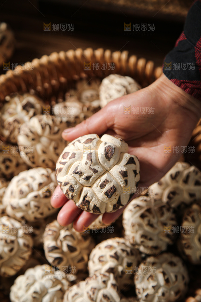 深底上的花菇