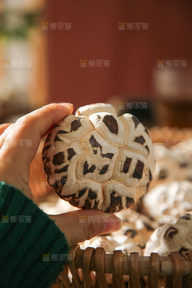 深底上的花菇