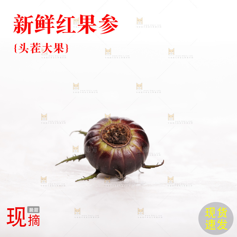 白底上的红果参