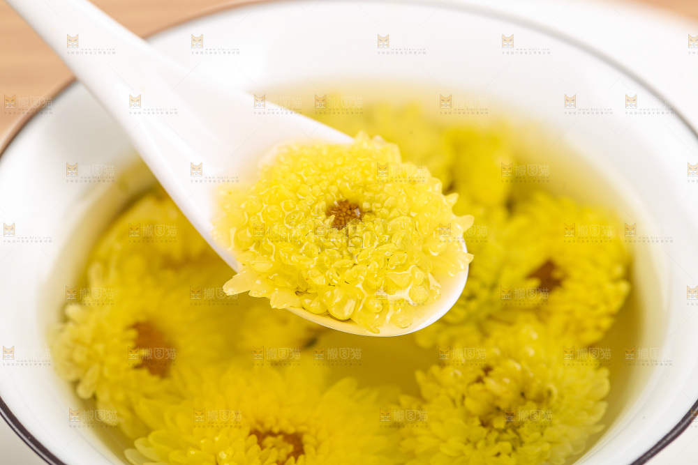 浅底上的胎菊