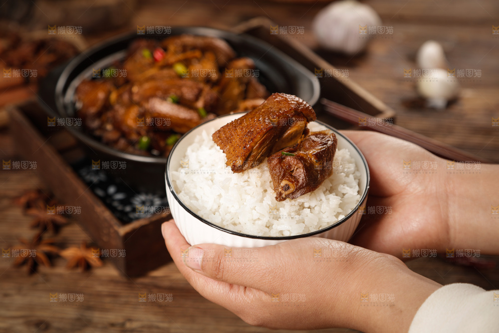 深底上的炖鹅肉