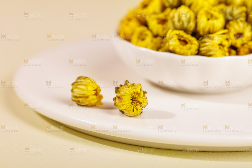 浅底上的胎菊