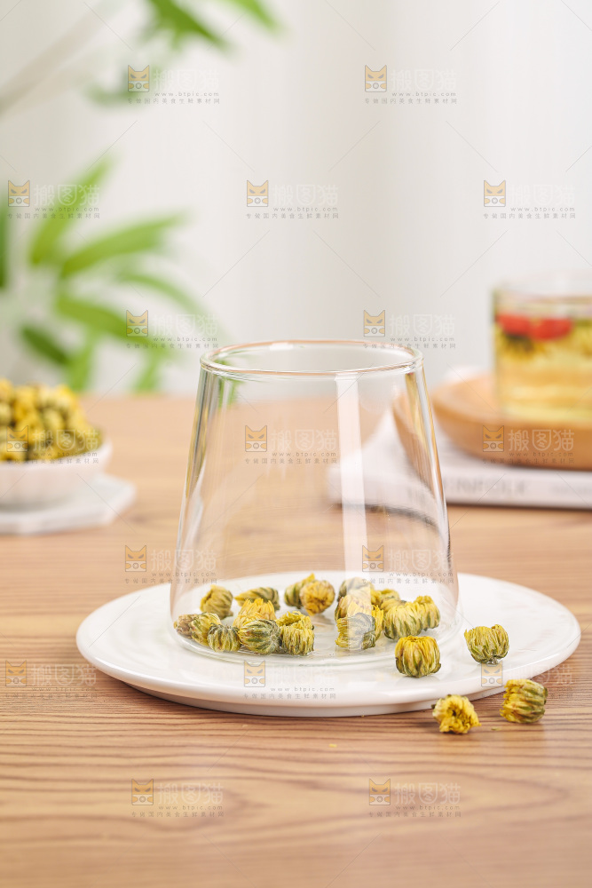 浅底上的胎菊