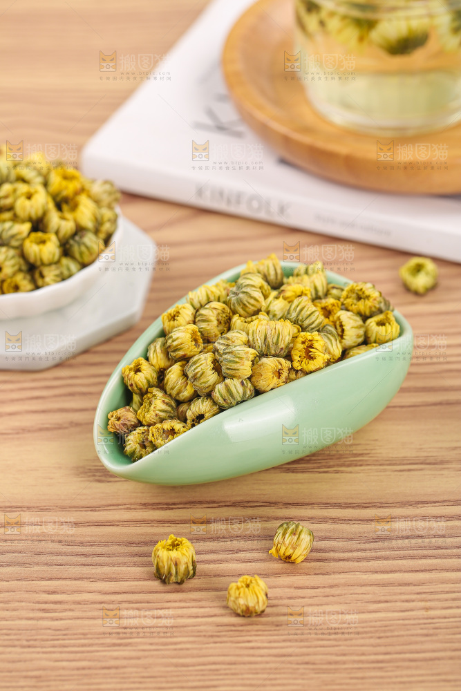 浅底上的胎菊