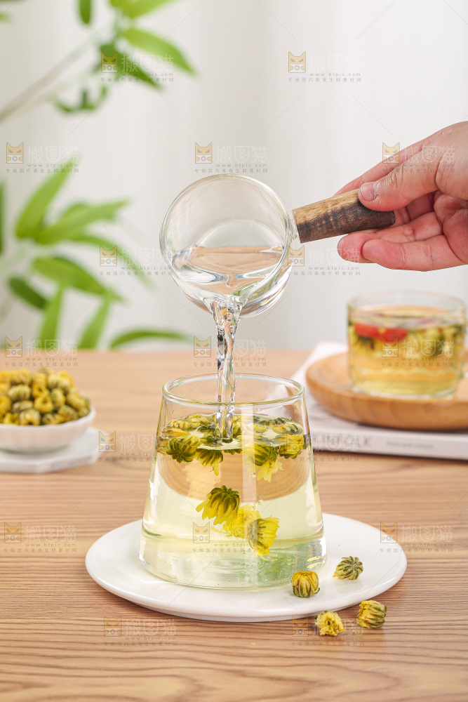 浅底上的胎菊