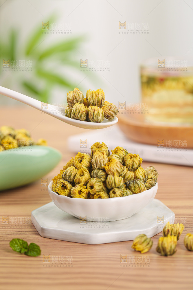 浅底上的胎菊
