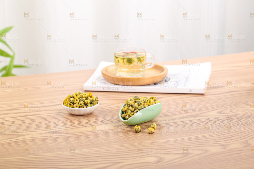 浅底上的胎菊