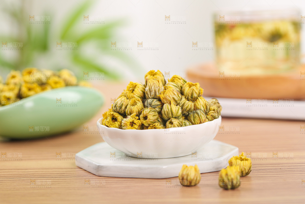 浅底上的胎菊