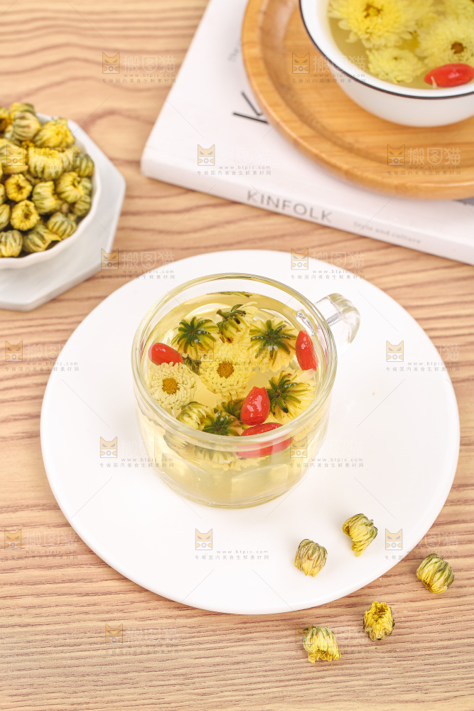浅底上的胎菊