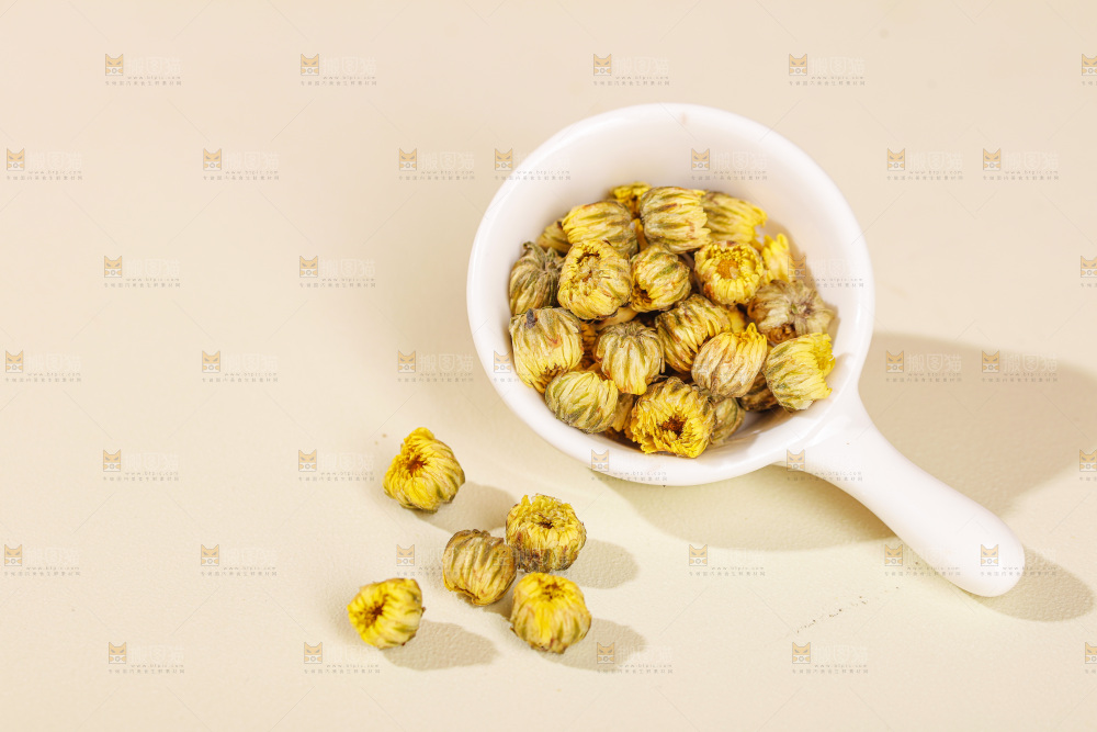 浅底上的胎菊