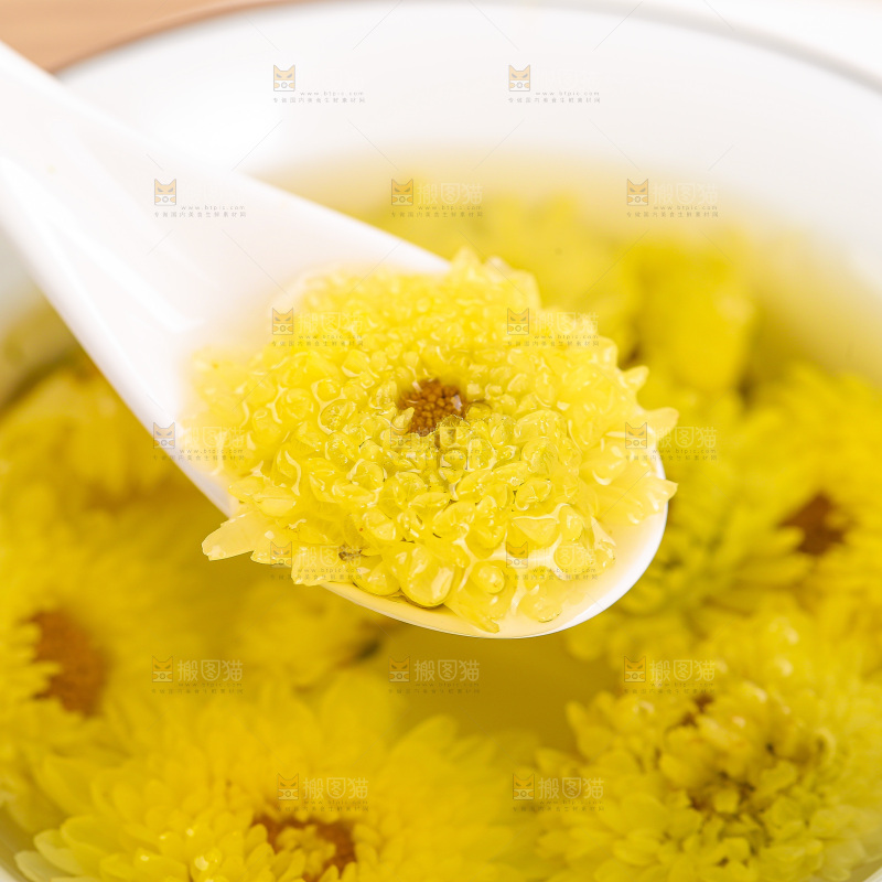 浅底上的胎菊