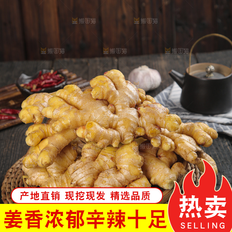 深底上的小黄姜