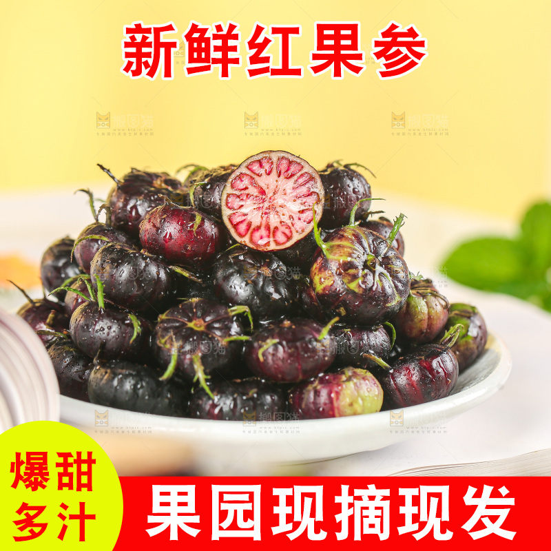 浅底上的红果参