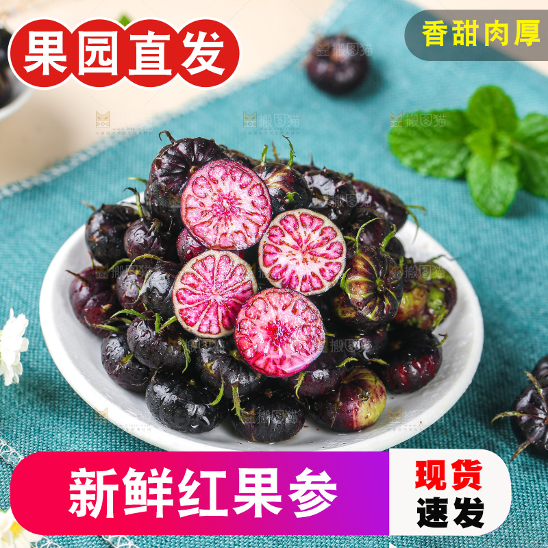 浅底上的红果参