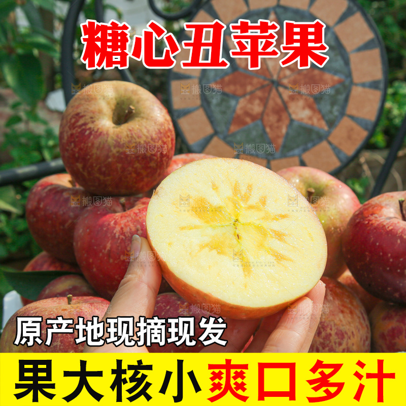 外景糖心苹果