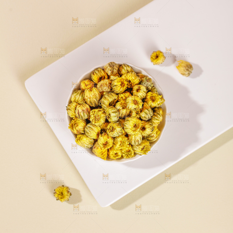 浅底上的胎菊