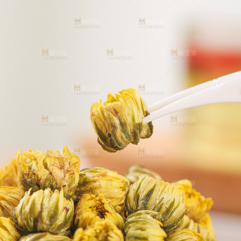 浅底上的胎菊