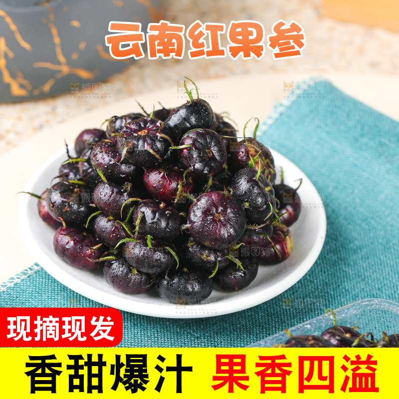 浅底上的红果参