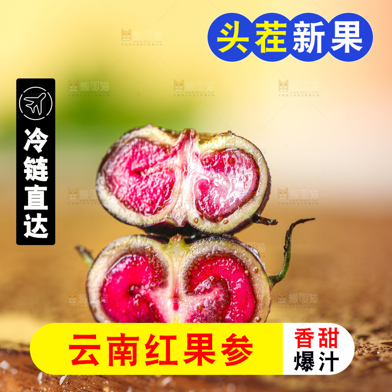 浅底上的红果参