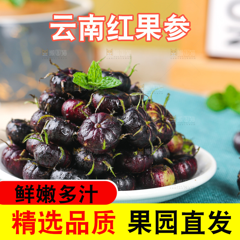浅底上的红果参
