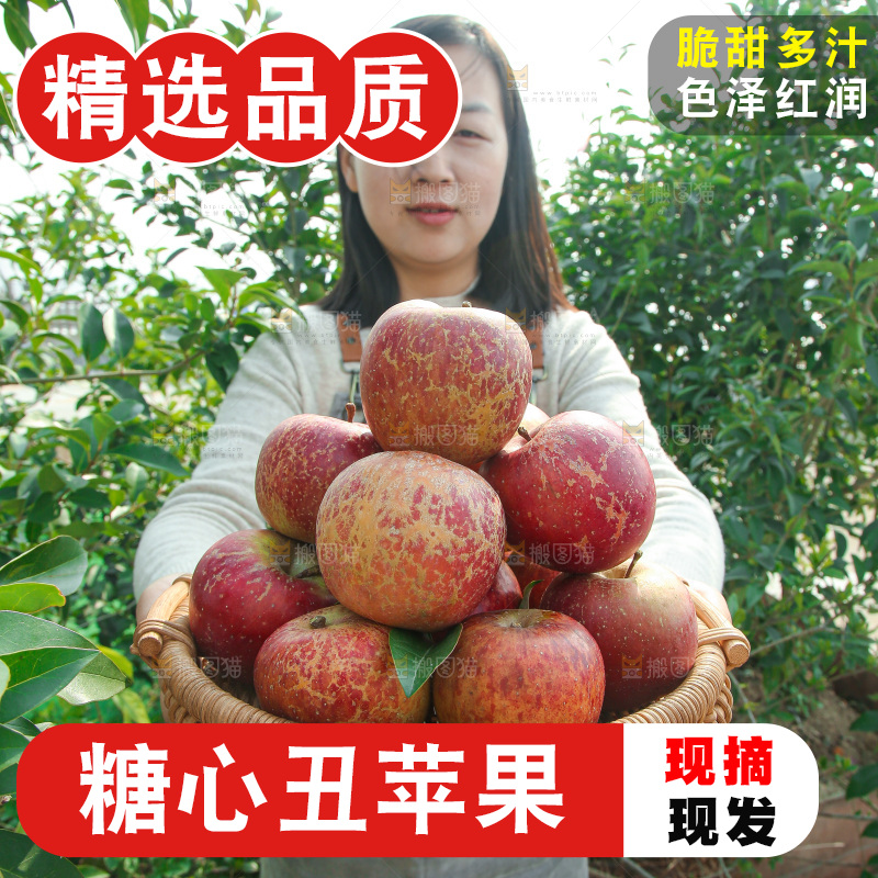 外景糖心苹果