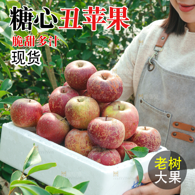 外景糖心苹果