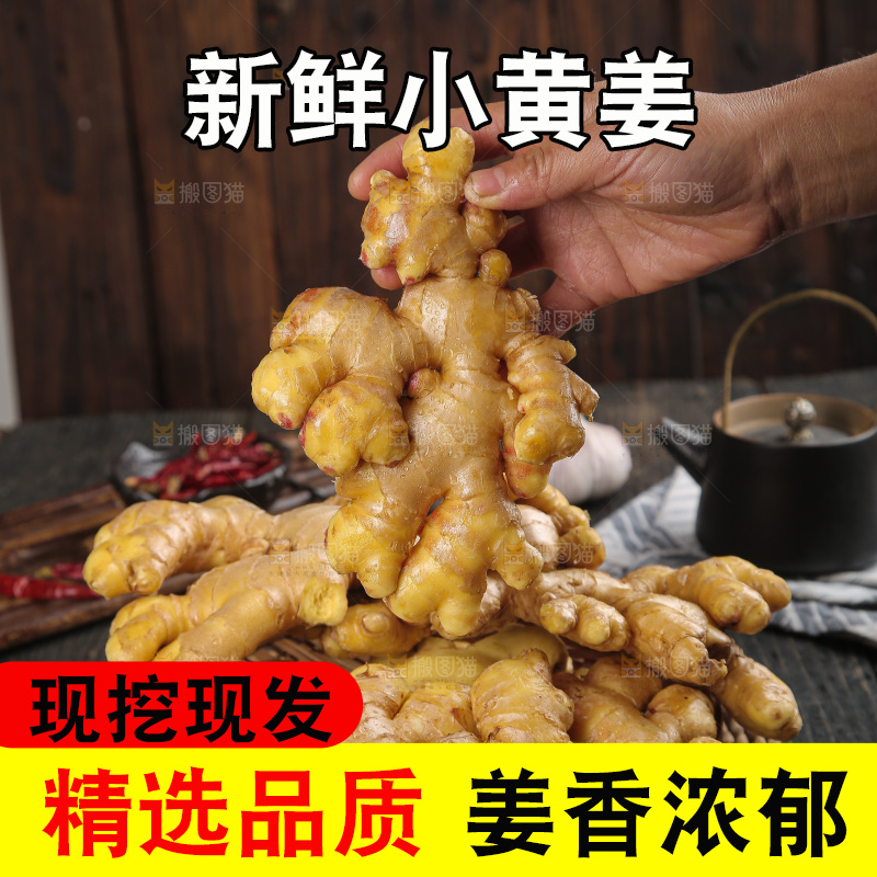 深底上的小黄姜