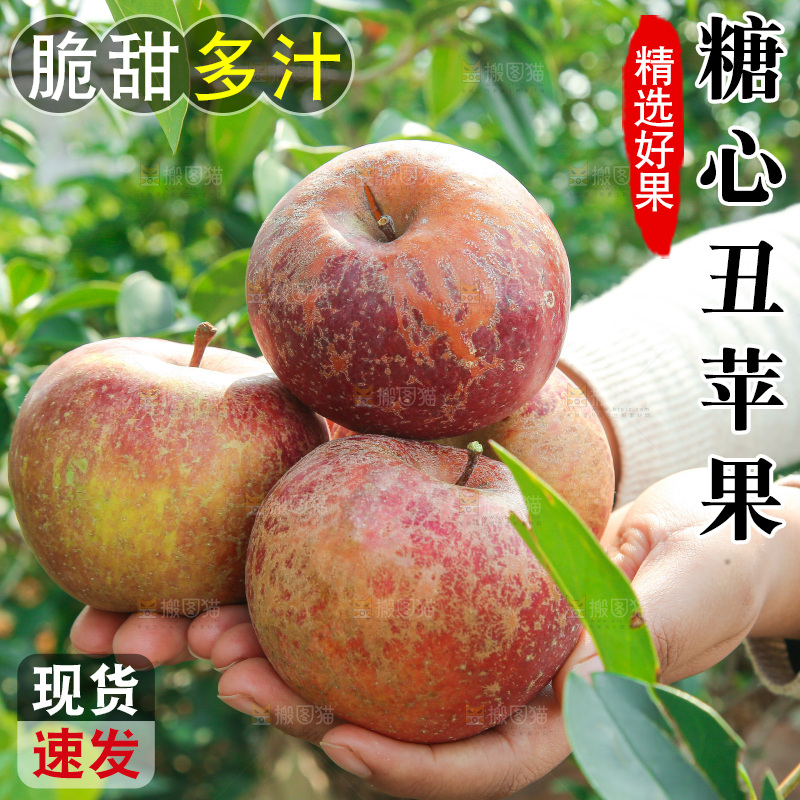 外景糖心苹果