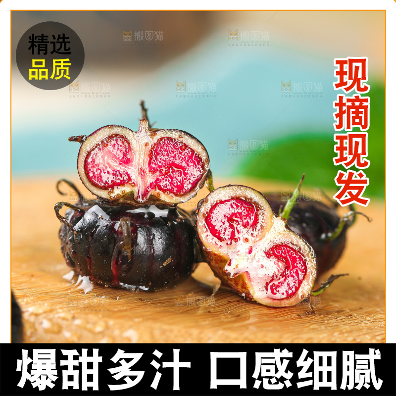 浅底上的红果参