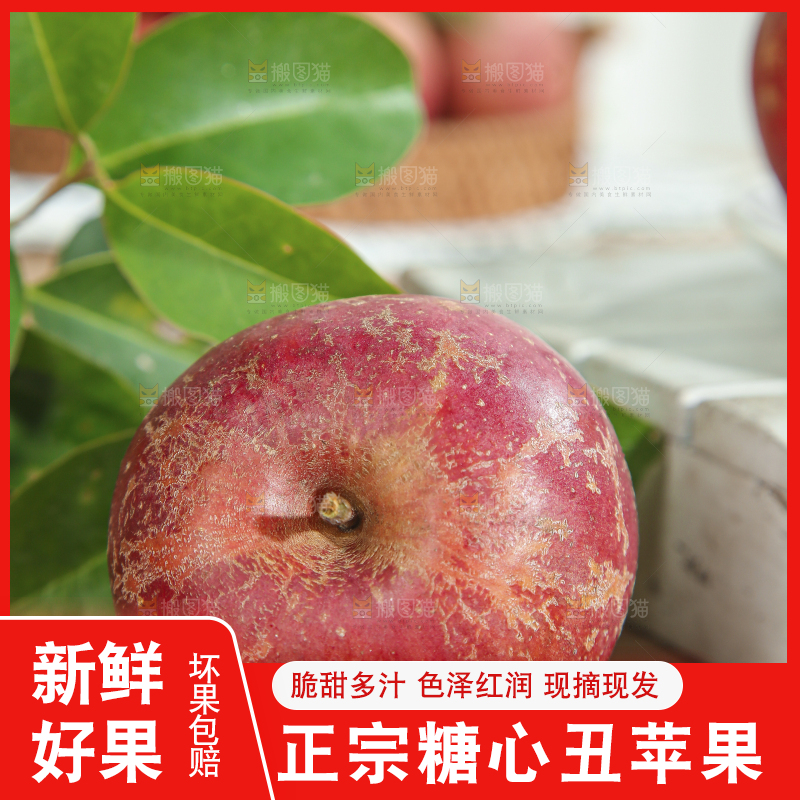 白底上的糖心苹果