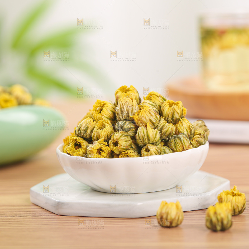 浅底上的胎菊