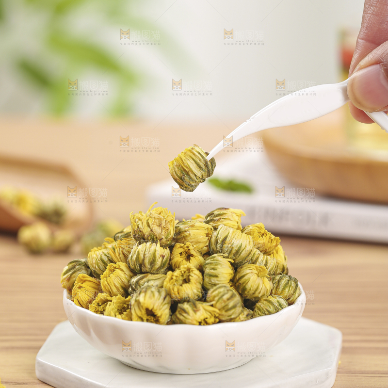 浅底上的胎菊