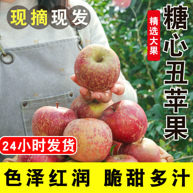外景糖心苹果