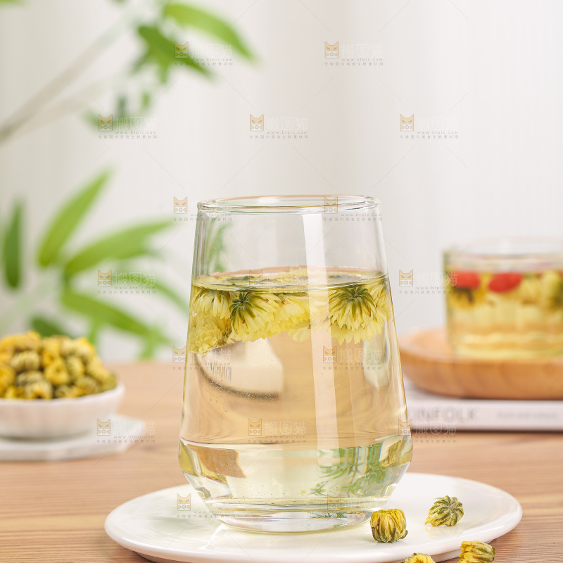 浅底上的胎菊