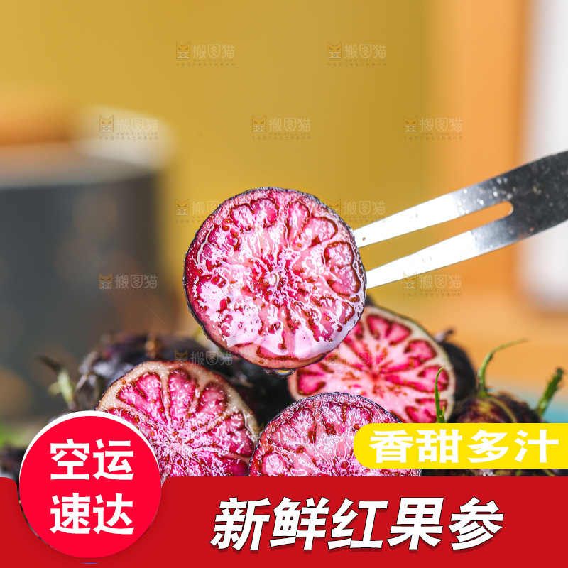 浅底上的红果参