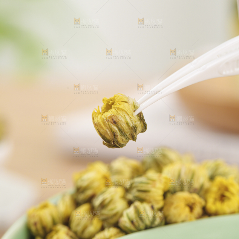 浅底上的胎菊