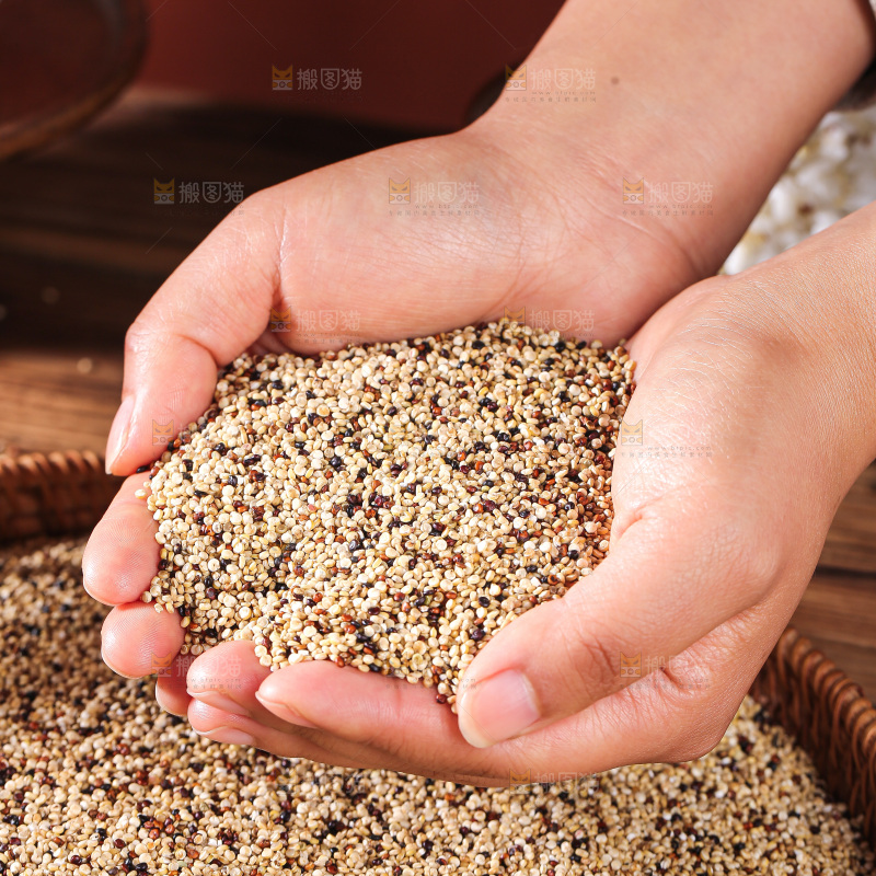 深底上的三色藜麦