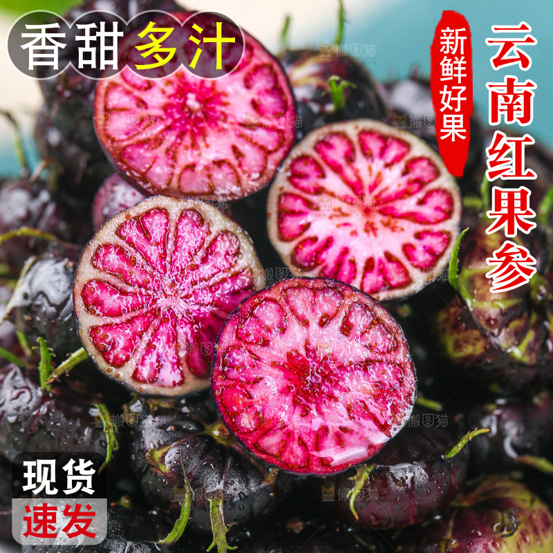 浅底上的红果参