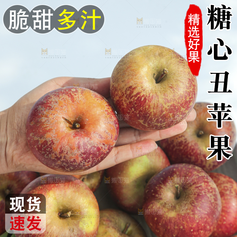 外景糖心苹果