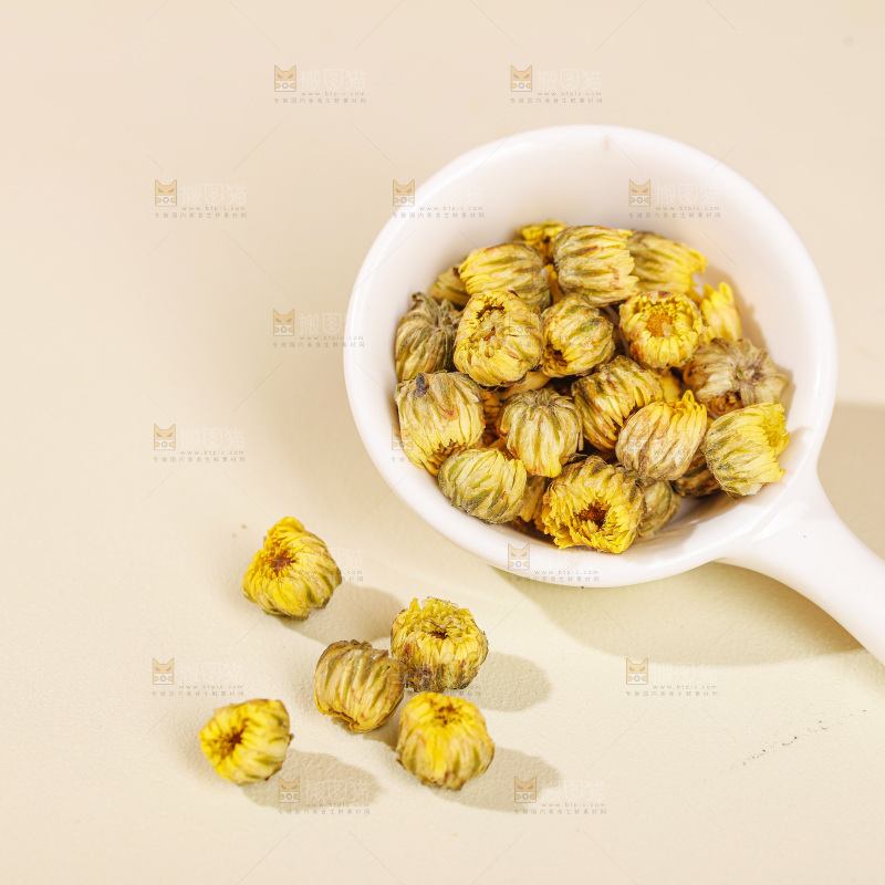 浅底上的胎菊